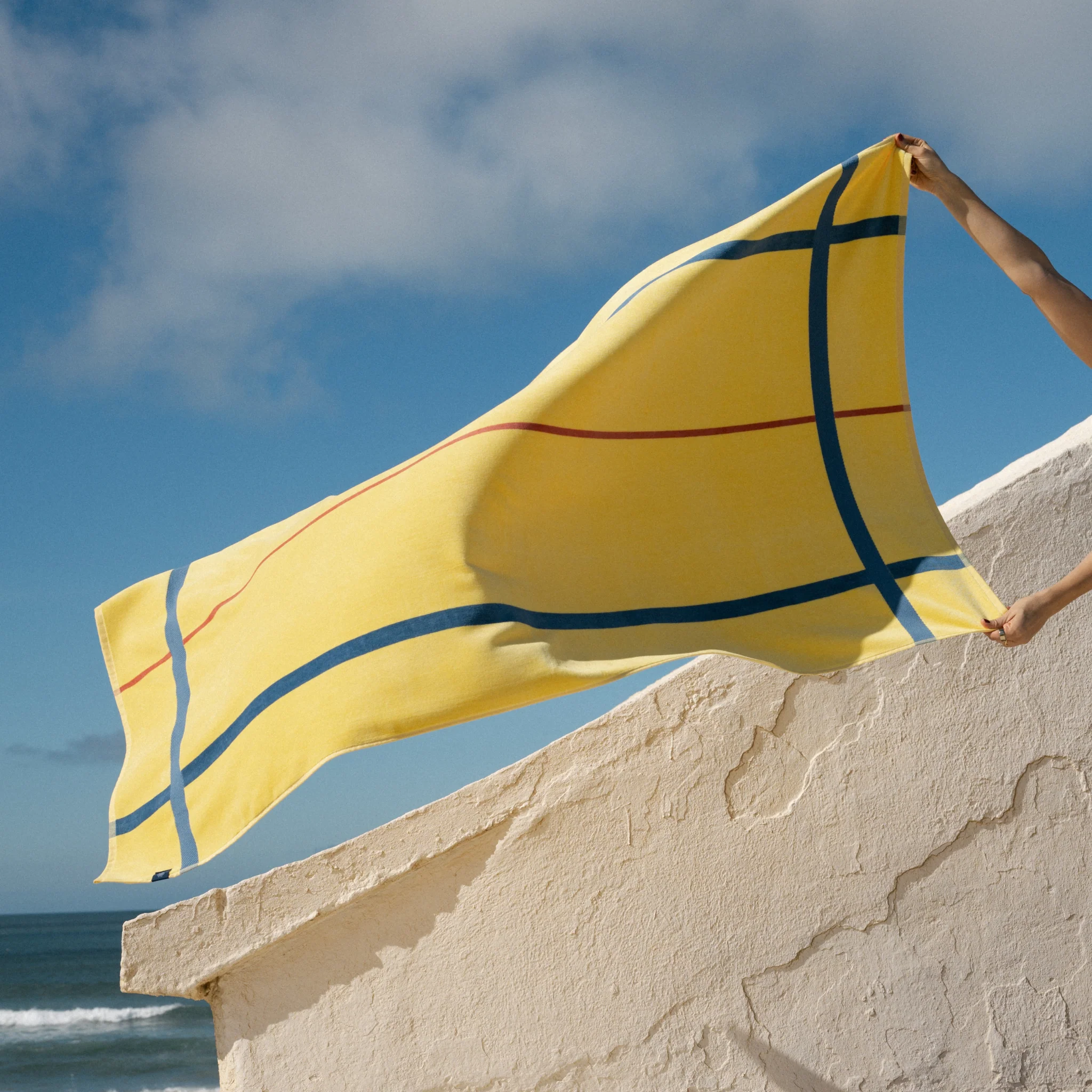 Alvor amarela - Image 3